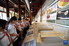 走進(jìn)糧倉博物館 體驗(yàn)農(nóng)耕文明