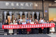 湖南茶葉組團赴河南許昌開展首場產(chǎn)銷研學活動有感