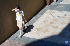 北京高溫黃色預警