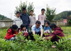 金石橋鎮(zhèn)中銀小學：弘揚中醫(yī)藥文化, 普及中草藥知識
