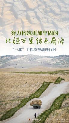 努力構(gòu)筑更加牢固的北疆萬里綠色屏障