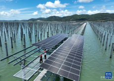 福建：海上光伏電站建設(shè)忙