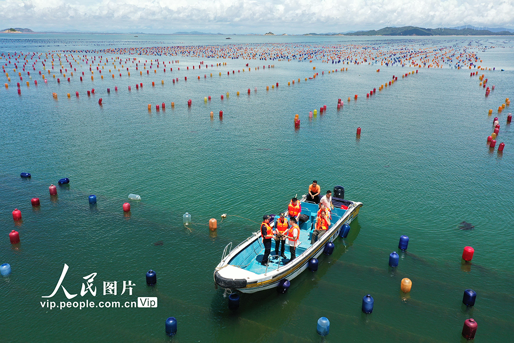 廣東汕頭：“彩虹?！鄙仙a(chǎn)忙