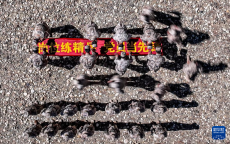 全軍部隊(duì)組織多種活動(dòng)慶祝黨的生日