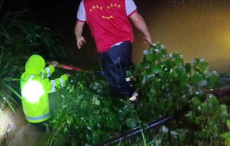 當(dāng)防汛遇上“七一”，岳陽縣張谷英鎮(zhèn)黨員這樣過