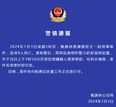 湖南桃源縣發(fā)生刑案致4人死亡，警方：嫌疑人被抓獲