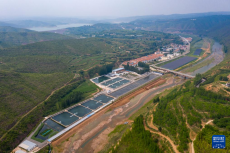 太行山區(qū)養(yǎng)殖三文魚(yú) 助力鄉(xiāng)村振興