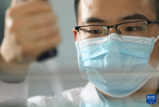 我國科研團(tuán)隊首次構(gòu)建泛癌種脈管系統(tǒng)全息細(xì)胞圖譜