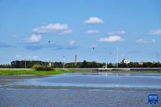 探訪同江三江口國(guó)家濕地公園