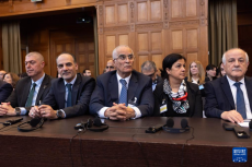 國(guó)際法院敦促以色列盡快結(jié)束對(duì)巴勒斯坦領(lǐng)土的非法占領(lǐng)