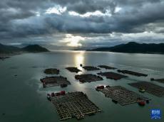 福建提升應(yīng)急響應(yīng)級(jí)別防御臺(tái)風(fēng)“格美”