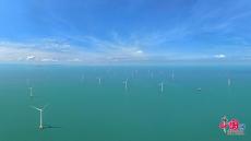 上半年我國(guó)海洋生產(chǎn)總值同比增長(zhǎng)5.6%