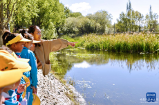 西藏：開啟生態(tài)科普研學(xué)活動