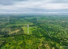 全國生態(tài)日來了！看中國高顏值答卷