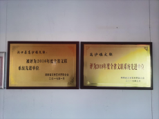 國家和省市縣作協(xié)領(lǐng)導(dǎo)走進(jìn)高沙鎮(zhèn)文聯(lián)，助力高沙文化復(fù)興