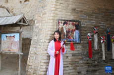 文化中國(guó)行｜賀蘭山邊的鎮(zhèn)北堡西部影城