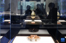五色之金——亞洲古代金屬藝術(shù)展在河北博物院開(kāi)展