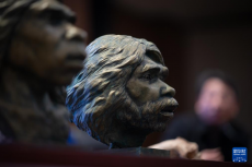 距今百萬(wàn)年“鄖縣人”頭骨化石科學(xué)相貌復(fù)原首次揭曉