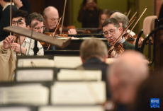 2025年維也納新年音樂(lè)會(huì)即將上演