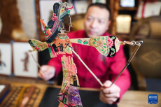 甘肅環(huán)縣：非遺皮影戲《白蛇傳》迎蛇年