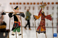 西安：非遺年貨受歡迎