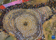 廣西融水：萬(wàn)人同慶百鳥衣蘆笙坡會(huì)