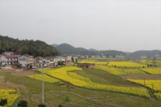 湖南攸縣寧家坪鎮(zhèn)：“會戰(zhàn)”結(jié)碩果 ?鄉(xiāng)村面貌新