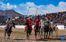 西藏：馬背競(jìng)技迎新年