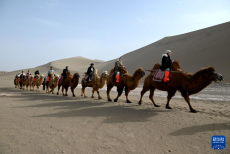 甘肅敦煌延續(xù)景區(qū)門票優(yōu)惠政策