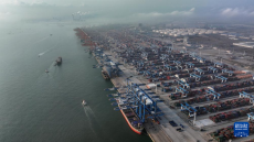 2025年前2個月西部陸海新通道鐵海聯(lián)運(yùn)貨物量迅速增長