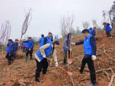 湖南寧鄉(xiāng)：環(huán)保志愿者們踴躍植樹 助力生態(tài)文明建設