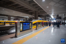 渝廈高鐵重慶段高速綜合檢測(cè)列車上線