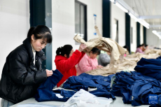 山東鄆城：產(chǎn)業(yè)興旺賦能鄉(xiāng)村振興