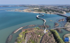 江蘇吳江：筑牢生態(tài)安全屏障 助力長三角一體化示范區(qū)建設(shè)