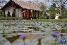 海南瓊海：“旅游+”繪就鄉(xiāng)村振興新畫卷