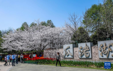 浙江紹興：春季花海開啟賞花熱