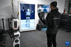 湖北：加快人形機器人產(chǎn)業(yè)發(fā)展