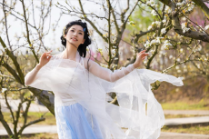 衡陽(yáng)市珠金甲梨園第十屆梨花節(jié)將于3月28日啟幕