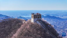 春到長(zhǎng)城 山花綻放