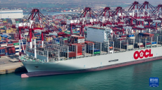 山東港口一季度吞吐量、集裝箱吞吐量雙增長
