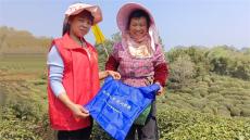 休寧縣渭橋鄉(xiāng)：茶山飄香季 反邪正當時