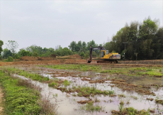 衡陽市珠暉區(qū)酃湖鄉(xiāng)：有序備春耕 “閑田”變“忙田”