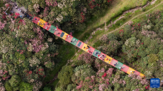 貴州：多彩大地 風光無限