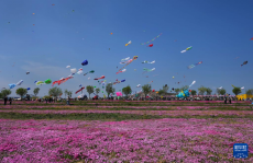 第42屆濰坊國(guó)際風(fēng)箏會(huì)開(kāi)幕