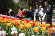 美麗中國(guó)丨花滿長(zhǎng)安