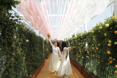 金甲玫瑰園八大文學(xué)秘境打造專屬浪漫南法風(fēng)情打卡地