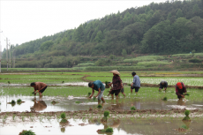 邵東七旬老漢鄭伯平： 勤勞致富 情系鄉(xiāng)鄰