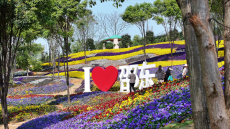 全是精華！“五一”來邵東，游玩攻略來了