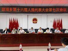 酃湖鄉(xiāng)：“四個(gè)聚力”，奮力譜寫酃湖現(xiàn)代化建設(shè)新篇章