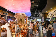 山水之城引客來(lái)